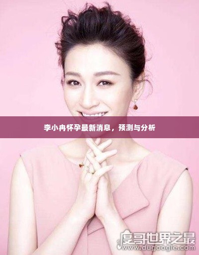 李小冉怀孕传闻最新动态,预测与分析