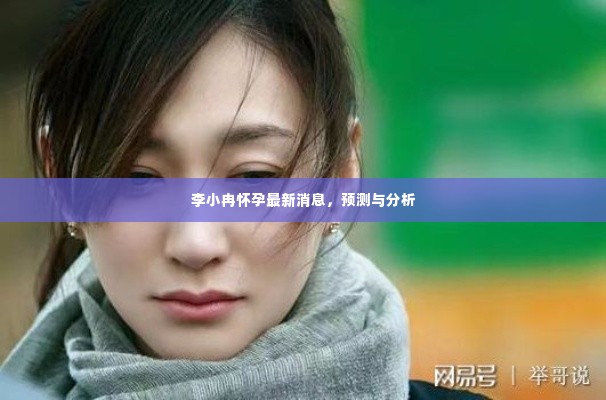 李小冉怀孕传闻最新动态,预测与分析