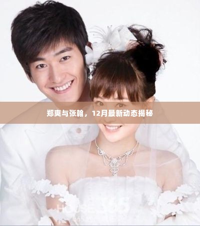 郑爽与张翰最新动态曝光,揭秘十二月最新进展