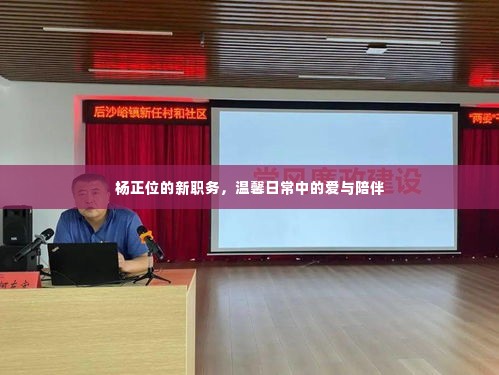 杨正位新职务,温馨日常中的爱与陪伴之旅