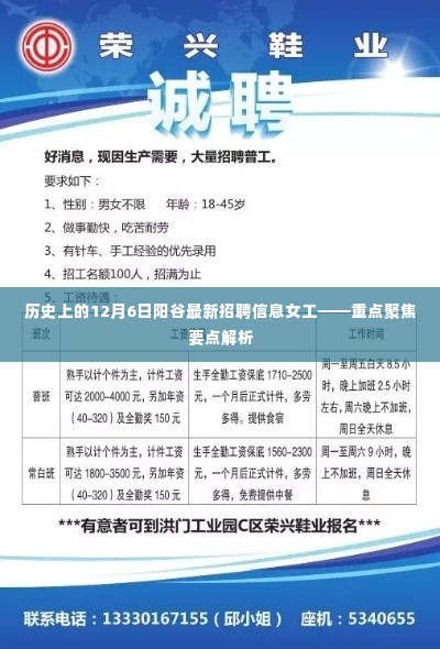历史上的阳谷招聘动态,女工招聘信息重点聚焦解析(12月6日)