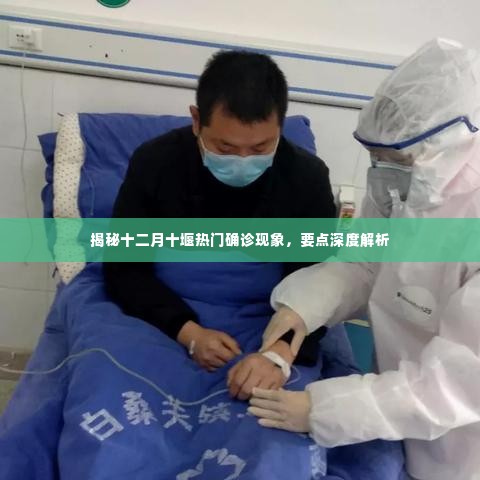 揭秘十二月十堰确诊现象,深度解析与要点阐述