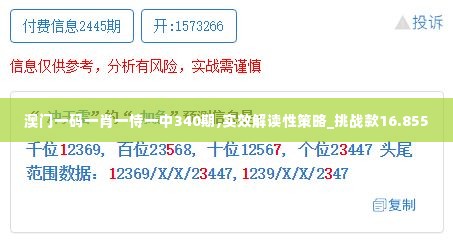 澳门一码一肖一恃一中340期,实效解读性策略_挑战款16.855