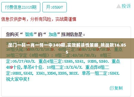 澳门一码一肖一恃一中340期,实效解读性策略_挑战款16.855