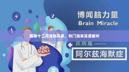 揭秘十二月海默现象,热门消息深度解读