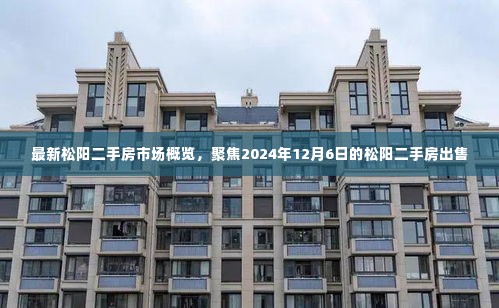 松阳二手房市场最新概览,聚焦出售市场与趋势分析(2024年12月6日)