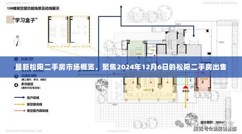 松阳二手房市场最新概览,聚焦出售市场与趋势分析(2024年12月6日)