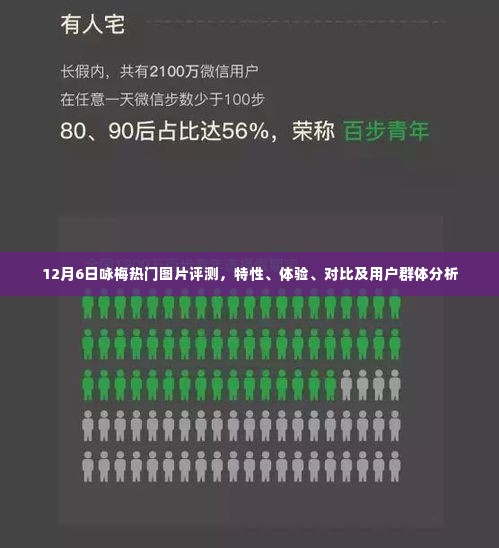 12月6日热门梅花图片评测,特性、体验、对比及用户群体深度剖析