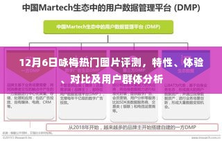 12月6日热门梅花图片评测,特性、体验、对比及用户群体深度剖析