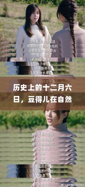 豆得儿在历史上的十二月六日寻找自然宁静的瞬间