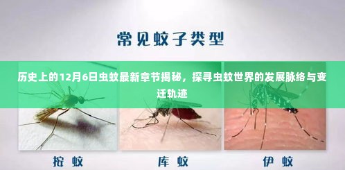 历史上的虫蚊世界,探寻发展脉络与变迁轨迹的最新揭秘
