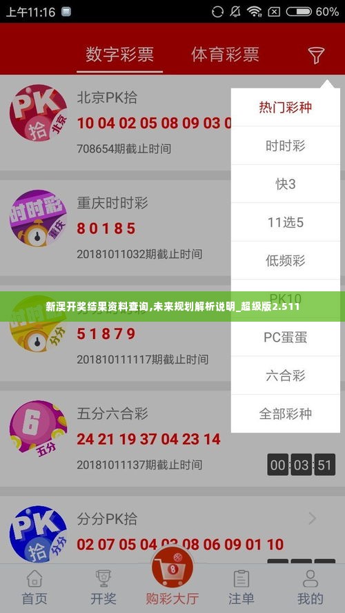 新澳开奖结果资料查询,未来规划解析说明_超级版2.511