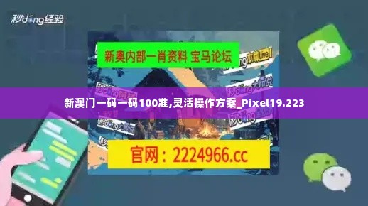新澳门一码一码100准,灵活操作方案_Pixel19.223