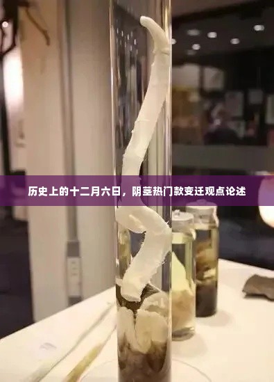 历史上的十二月六日,阴茎热门款变迁深度解析
