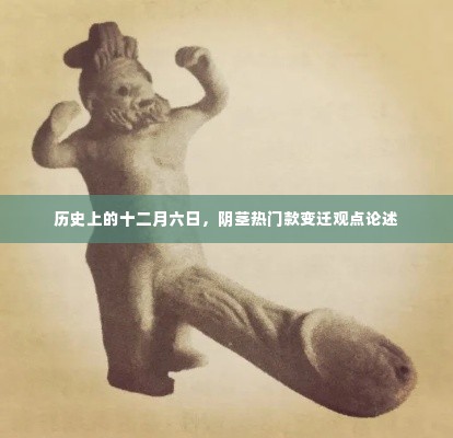历史上的十二月六日,阴茎热门款变迁深度解析