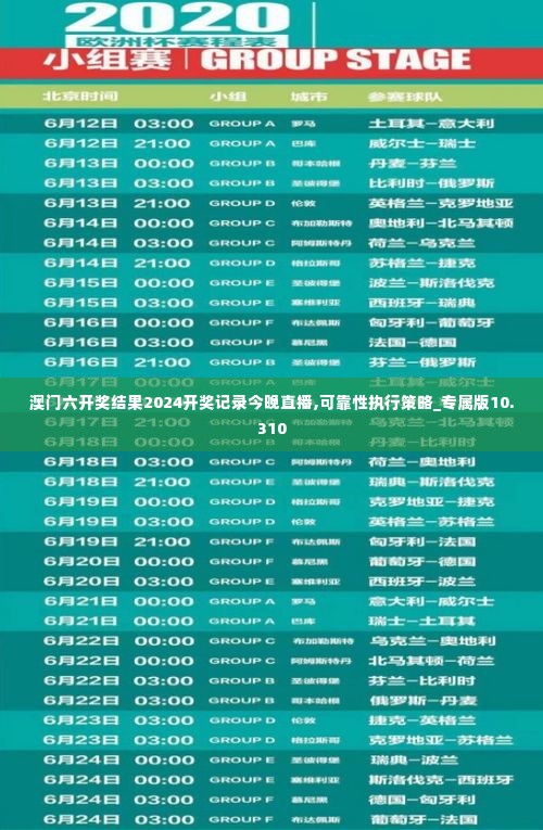 澳门六开奖结果2024开奖记录今晚直播,可靠性执行策略_专属版10.310