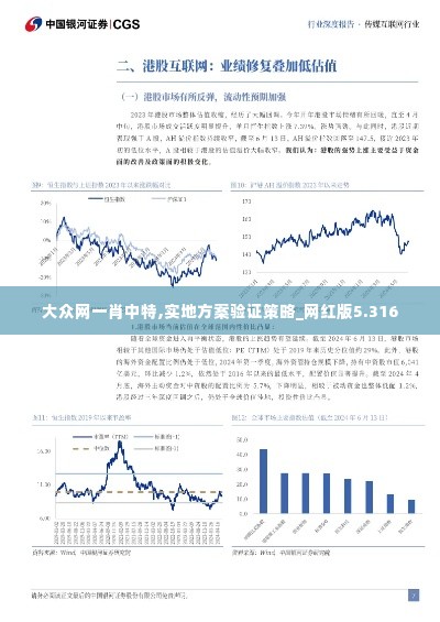 大众网一肖中特,实地方案验证策略_网红版5.316