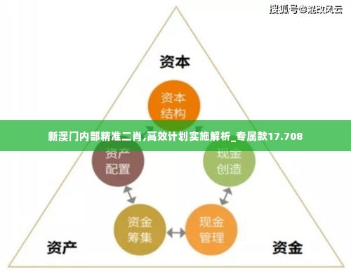 新澳门内部精准二肖,高效计划实施解析_专属款17.708