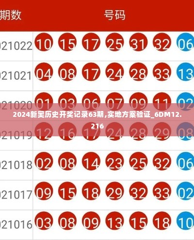 2024新奥历史开奖记录63期,实地方案验证_6DM12.216