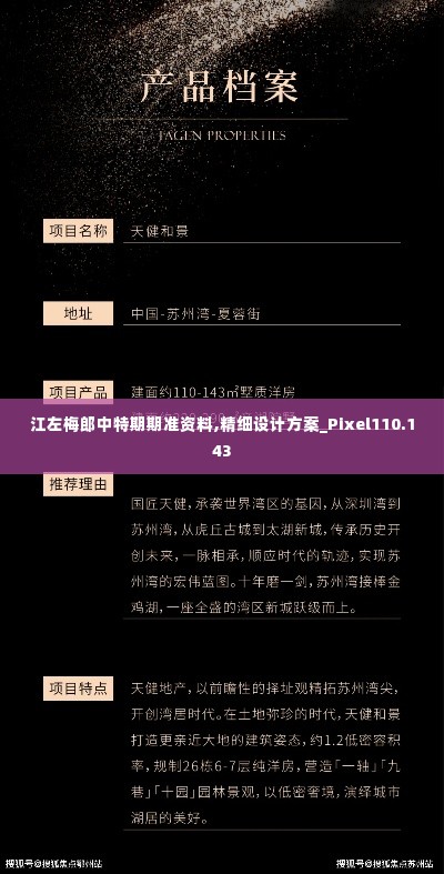 江左梅郎中特期期准资料,精细设计方案_Pixel110.143