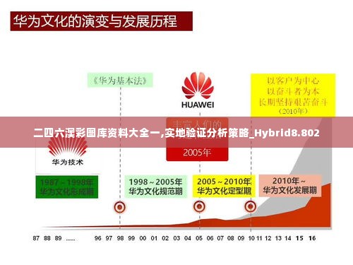二四六澳彩图库资料大全一,实地验证分析策略_Hybrid8.802