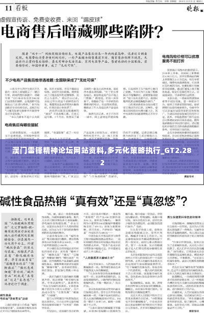 澳门雷锋精神论坛网站资料,多元化策略执行_GT2.282