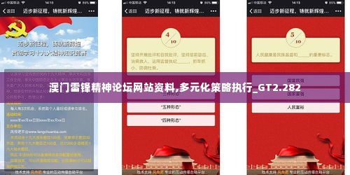 澳门雷锋精神论坛网站资料,多元化策略执行_GT2.282