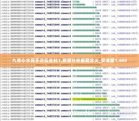 九龙心水高手论坛资料1,数据分析解释定义_安卓版1.603