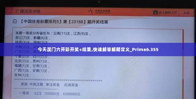 今天澳门六开彩开奖+结果,快速解答解释定义_Prime6.355