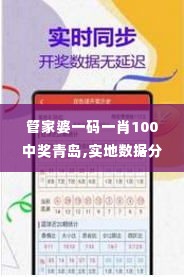 管家婆一码一肖100中奖青岛,实地数据分析计划_高级版10.123