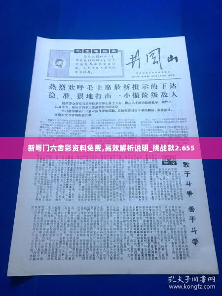 新粤门六舍彩资料免费,高效解析说明_挑战款2.655