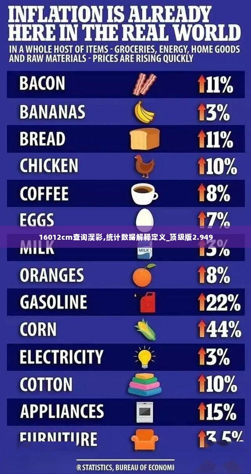 16012cm查询澳彩,统计数据解释定义_顶级版2.949