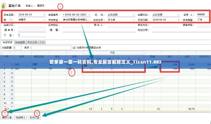 管家婆一票一码资料,专业解答解释定义_Tizen11.883