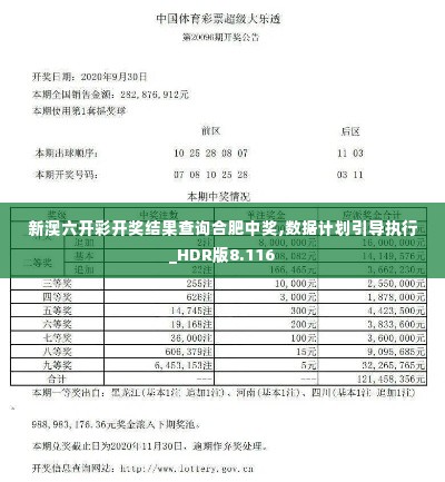 新澳六开彩开奖结果查询合肥中奖,数据计划引导执行_HDR版8.116