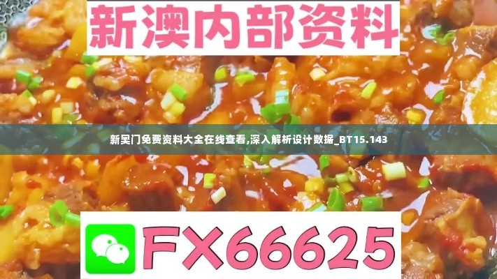 新奥门免费资料大全在线查看,深入解析设计数据_BT15.143