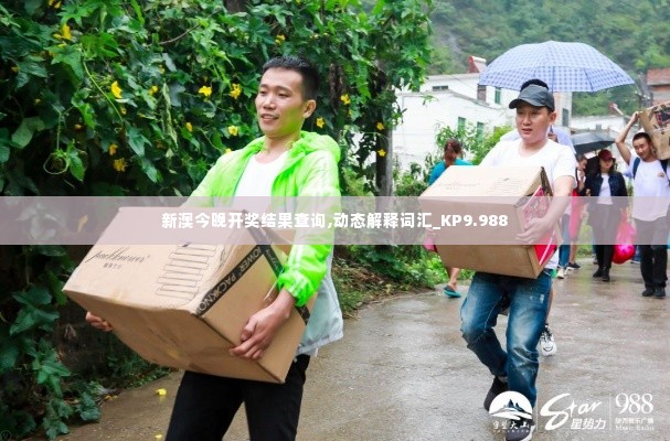 新澳今晚开奖结果查询,动态解释词汇_KP9.988