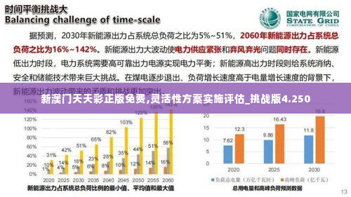 新澳门天天彩正版免费,灵活性方案实施评估_挑战版4.250