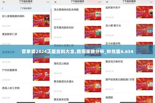 管家婆2024正版资料大全,精细策略分析_粉丝版6.634