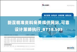 新澳精准资料免费提供网站,可靠设计策略执行_BT18.503