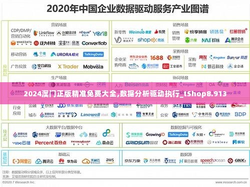 2024澳门正版精准免费大全,数据分析驱动执行_tShop8.913