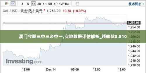 澳门今晚三中三必中一,实地数据评估解析_领航款3.510