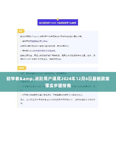 初学者与进阶用户通用，最新政策落实步骤指南（2024年12月6日更新）