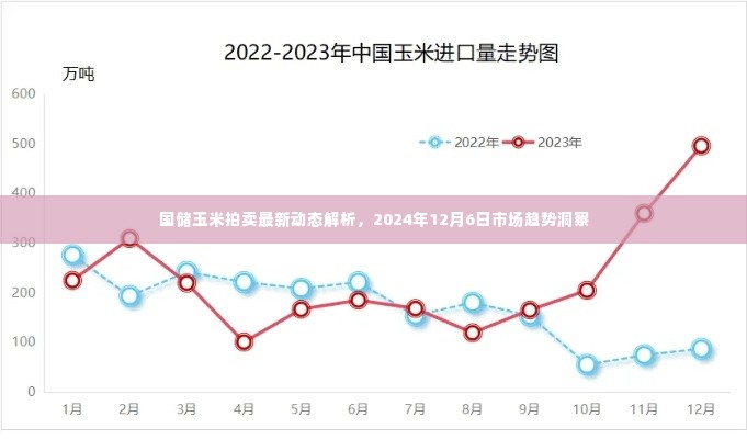 国储玉米拍卖最新动态解析及市场趋势展望(2024年12月6日)