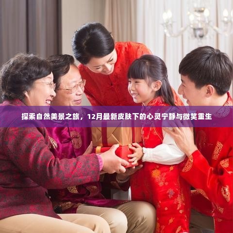 12月自然探索之旅,心灵宁静与微笑重生的美丽瞬间