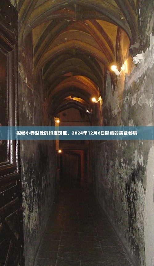 探秘印度小巷深处的神秘美食秘境,隐藏的美食瑰宝(2024年12月6日)