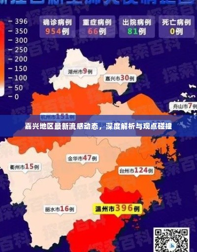 嘉兴地区流感最新动态，深度解析、观点碰撞
