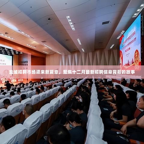 盐城招聘市场新篇章,聚焦十二月最新招聘信息背后的故事