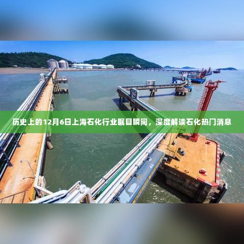 历史上的重要瞬间,上海石化行业的瞩目时刻与深度解读石化行业动态