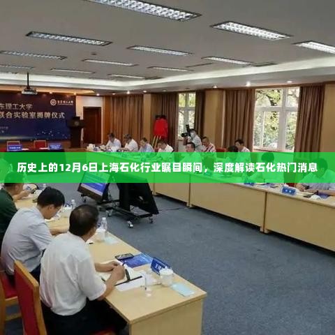 历史上的重要瞬间,上海石化行业的瞩目时刻与深度解读石化行业动态