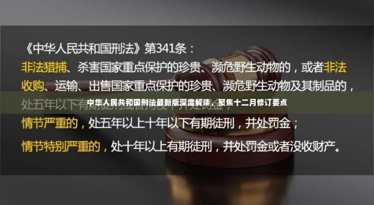 中华人民共和国刑法最新版深度解读,聚焦十二月修订要点详解